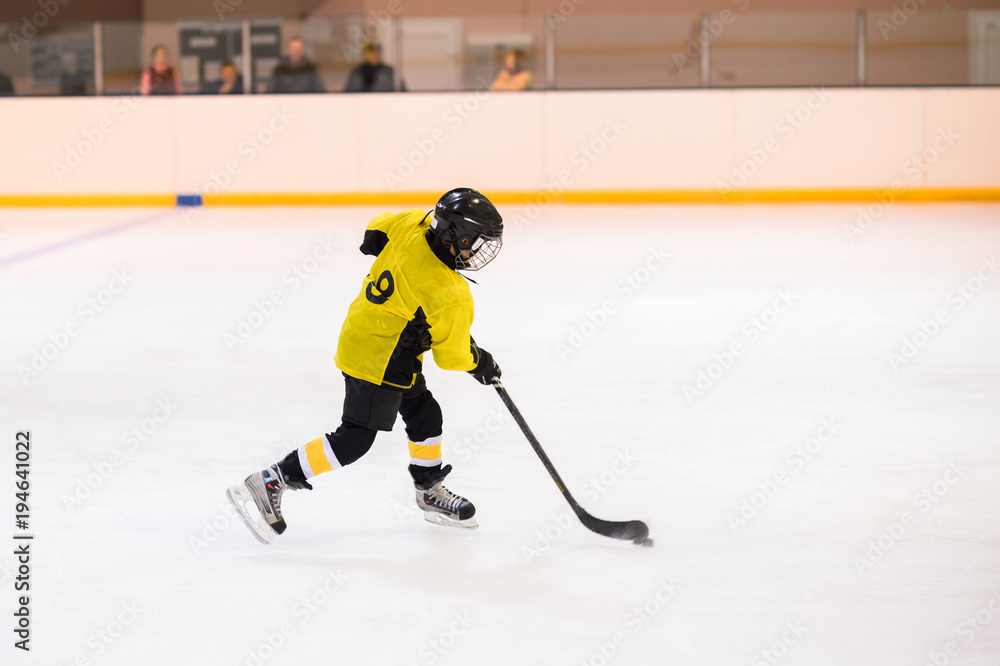 Fototapeta premium Kids ice hockey.