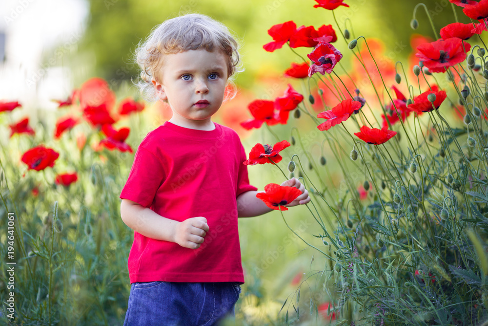 A small blond boy is holding red poppy flower A small blond boy is holding red poppy flower