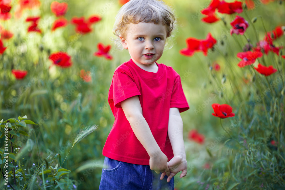 A small blond boy is holding red poppy flower A small blond boy is holding red poppy flower