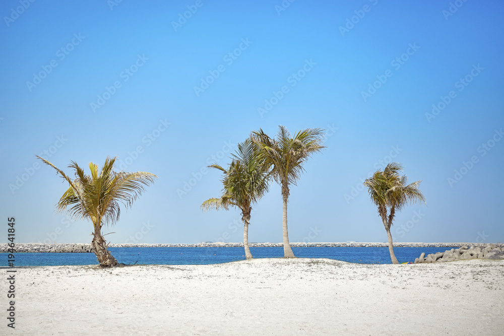 Beautiful beach with coconut palm trees, summer holidays concept. Beautiful beach with coconut palm trees, summer holidays concept.