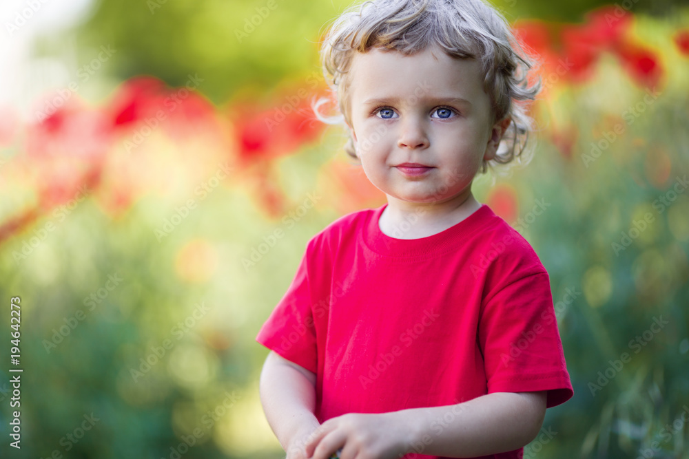 A small blond boy is holding red poppy flower A small blond boy is holding red poppy flower