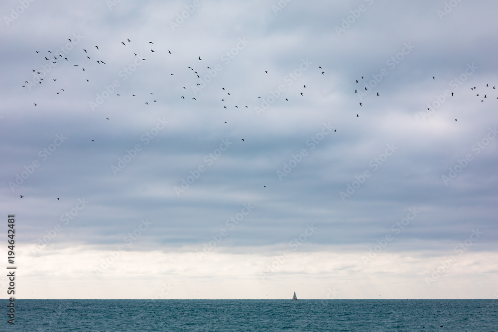 Birds Flying over the Black Sea