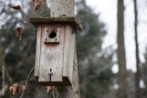 a birdhouse in a cold forest
