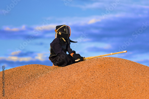 the Japanese martial art kendo, the fighter sits on the mountain