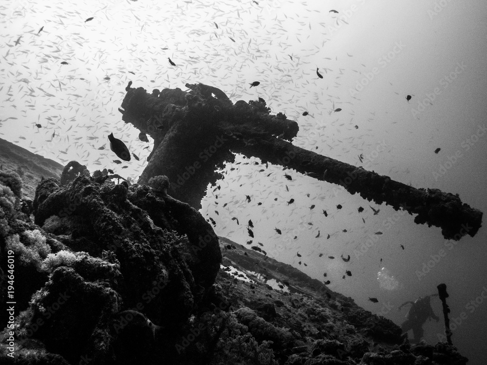 Naklejka premium B&W Deck Gun SS Thistlegorm