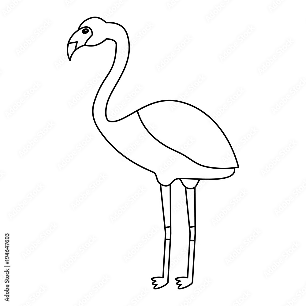 flamingo bird tropical icon image vector illustration design  single black line