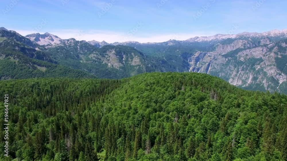 AERIAL VIEW: flight over alpian forest around Bohinj lake , camera moving forvards .Triglav National Park AERIAL VIEW: flight over alpian forest around Bohinj lake , camera moving forvards .Triglav National Park
