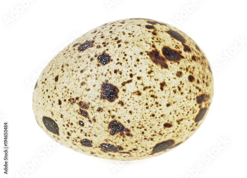 Single quail egg isolated over white background