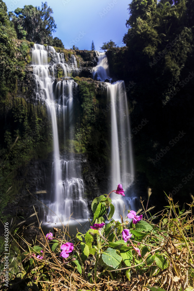 Naklejka premium TadYeung waterfall