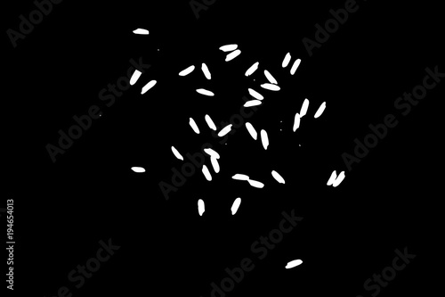 Black silhouettes cactus set. Hand drawn plants. Exotic floral sketch illustration collection. Different cactuses in monochrome style. Vector.