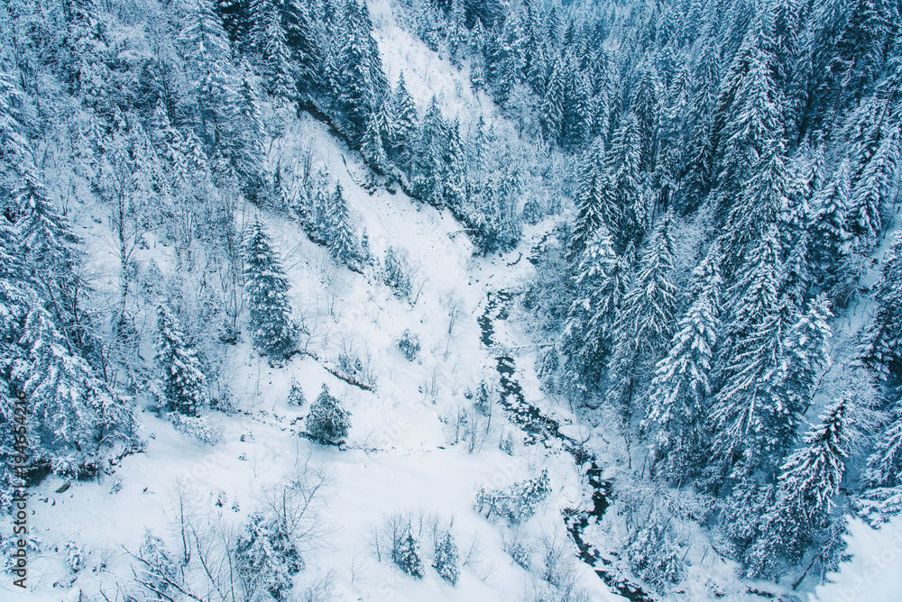 Aerial view of snow covered pine forest in Switzerland. Aerial view of snow covered pine forest in Switzerland.