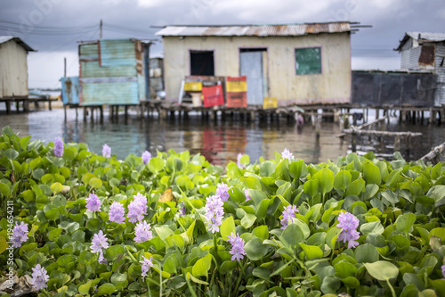 Houses on stilts in the village of Ologa, Lake Maracaibo, Venezuela photo