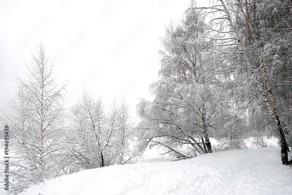 Beautiful landscape with snow-covered path on the edge of the forest and frozen river under overcast winter day Beautiful landscape with snow-covered path on the edge of the forest and frozen river under overcast winter day