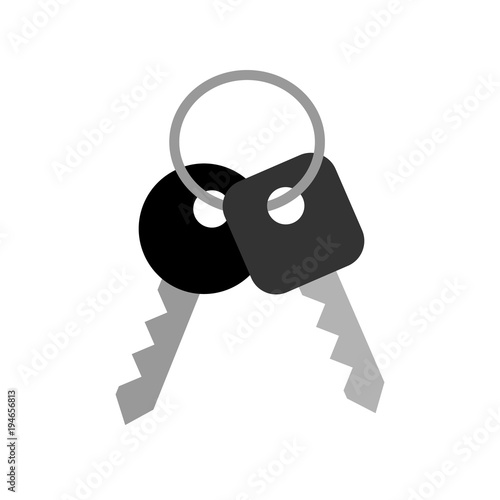 Keys icon, isolated on white background, vector illustration.