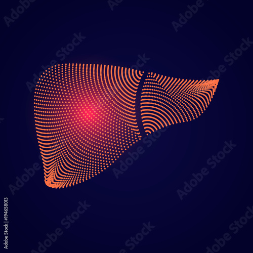 A healthy liver and a liver with cirrhosis. Medical solidarity day concept. Sick liver, Hepatitis.