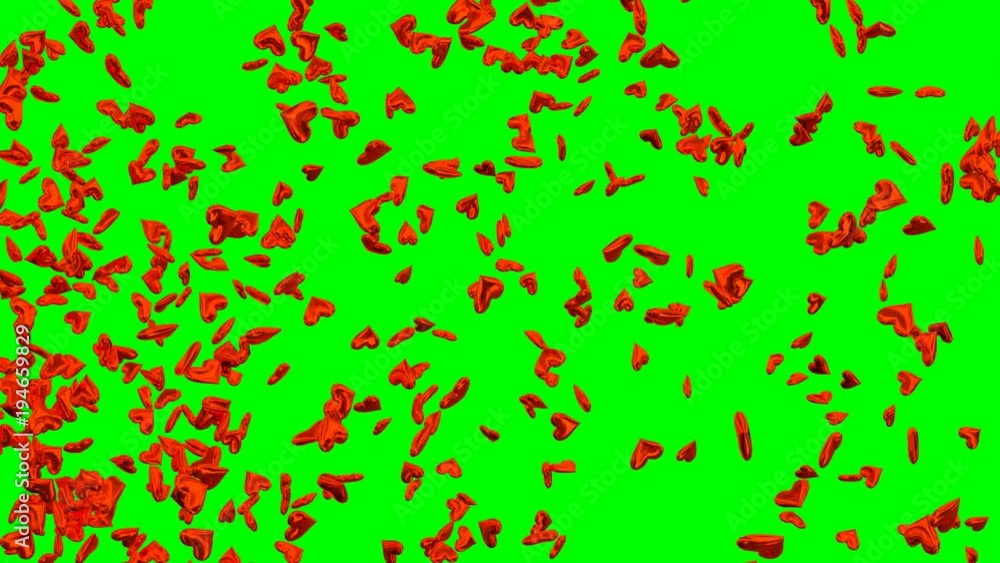 Animated a lot of shinning red hearts exploding and flying from left to right against green background. Animated a lot of shinning red hearts exploding and flying from left to right against green background.