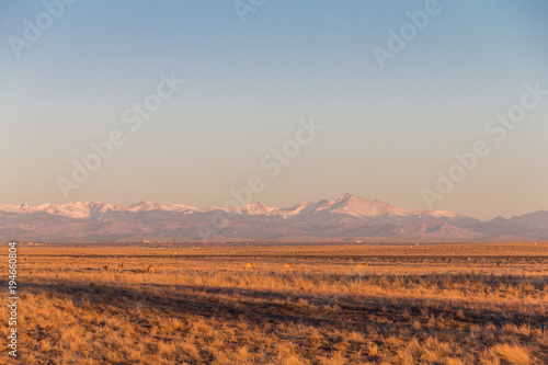 Distant Longs Peak