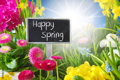 Fototapeta Naklejka Na Ścianę i Meble -  Sunny Spring Flower Meadow, Happy Spring