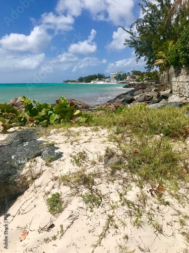 Idyllic scenic Welches Beach in Oistins, Barbados (Caribbean island of the West Indies) with huge black stones, grass, sand and a blue sky with white clouds