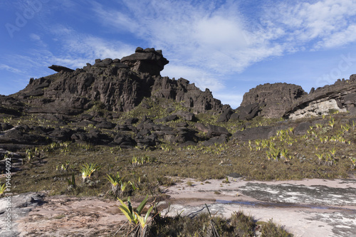Rock formations, Mount Roraima, Canaima National Park. photo