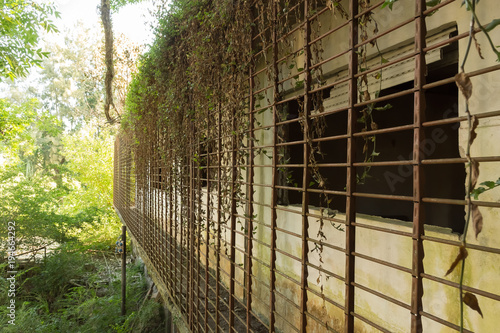 Persianas de alambrado enredado de plantas de un balcón de un hotel abandonado