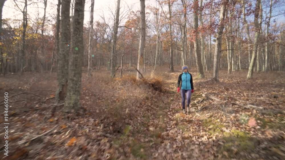 Small in the frame, mature woman wearing blue jacket, headband and red gloves, hiking in the forest with a carpet of autumn leaves. Small in the frame, mature woman wearing blue jacket, headband and red gloves, hiking in the forest with a carpet of autumn leaves.