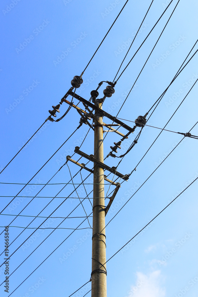 Under the sky, trees near the poles Under the sky, trees near the poles