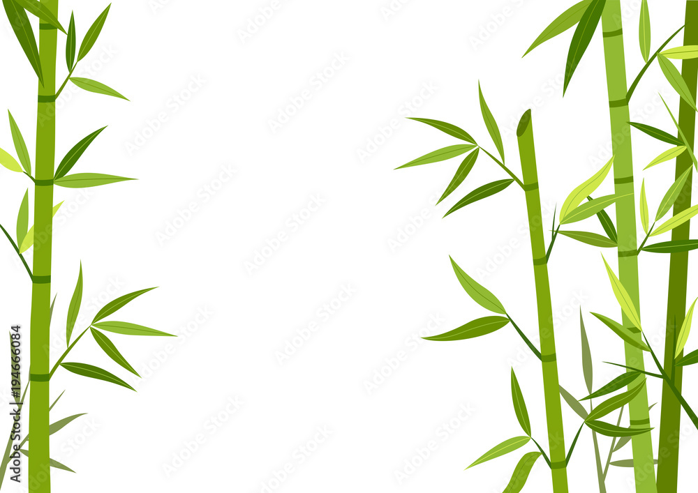 Green bamboo background - obrazy, fototapety, plakaty 
