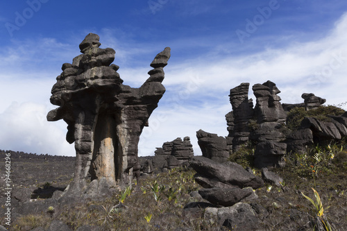 Rock formations, Kukenan Tepui near Mount Roraima, Canaima National Park.