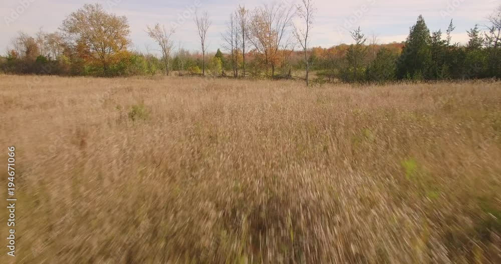 Low drone shot over field of tall brown grass. Low drone shot over field of tall brown grass.