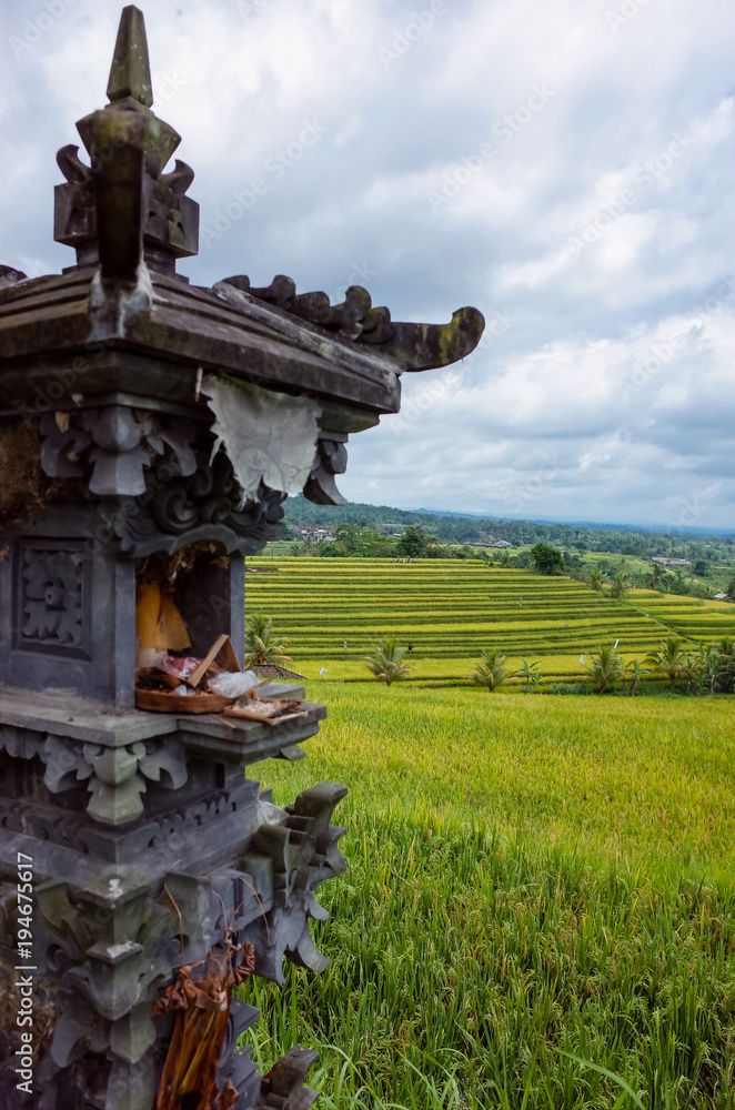 Jatiluwih, a UNESCO heritage rice fields in Bali, Indonesia