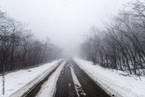 Road in foggy snowy forest