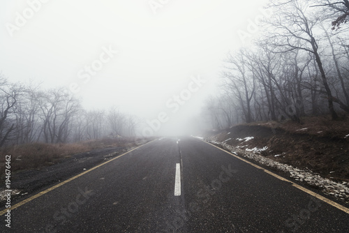 Road in foggy forest