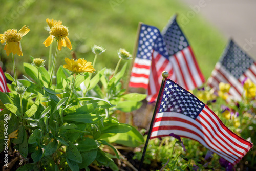 Canvas Print low angle view of little united states flags in flower bed