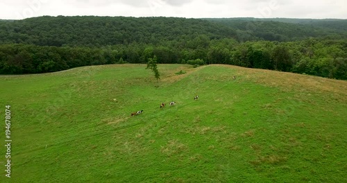 Four horseback riders on a green hill with forested mountains in the distance and riderless horses tagging along as the aerial camera orbits around them. photo