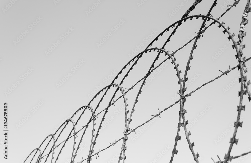 Razor wire from a compound on a sunny day Razor wire from a compound on a sunny day