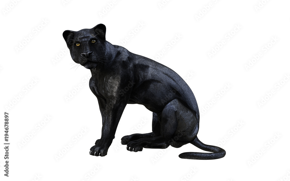 Black panther isolate on white background, Black tiger, 3d Illustration, 3d  render Stock Illustration | Adobe Stock