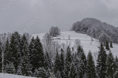 Zimowa panorama Pieniny 