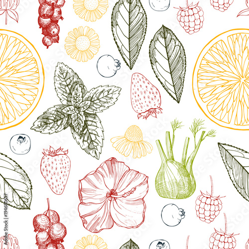 Herbal tea. Vector seamless pattern