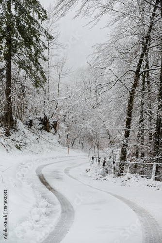 Winter Forest.The Bavarian Alps.Germany © alexanderkonsta