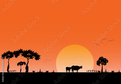 landscape evening view of the field with on sundown background © khonkangrua