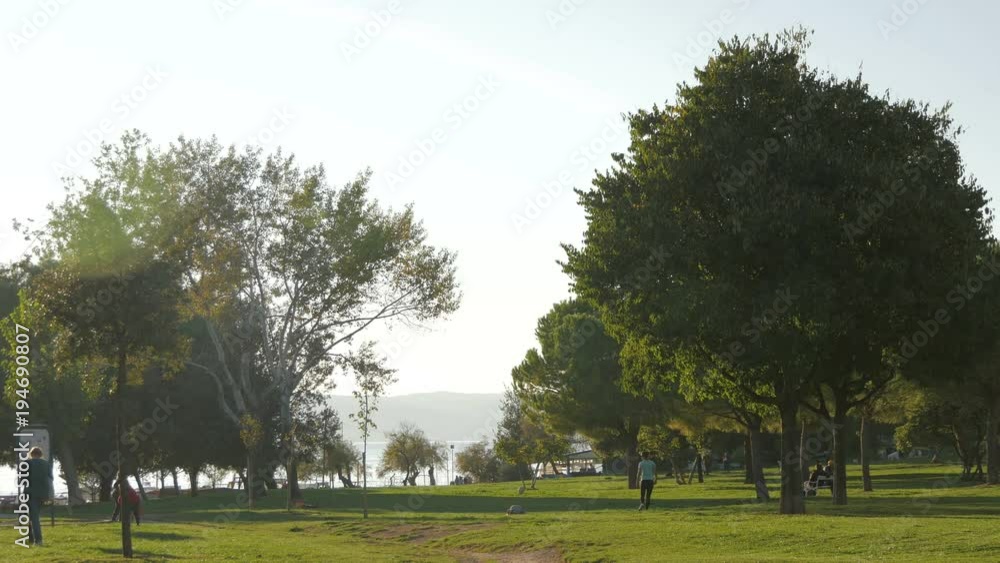 People relaxing in a park