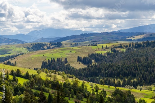 Fototapeta Naklejka Na Ścianę i Meble -  field of grass on the background of the mountain village nature is beautiful 