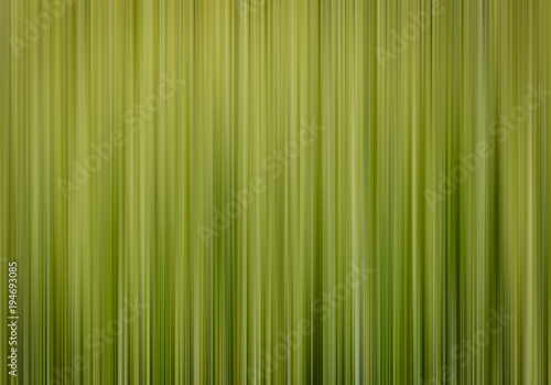 Vertical spring green blurred background