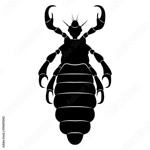 Vector image of silhouette of lice