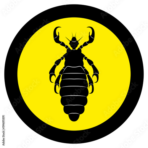Vector image of silhouette of lice