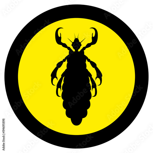 Vector image of silhouette of lice