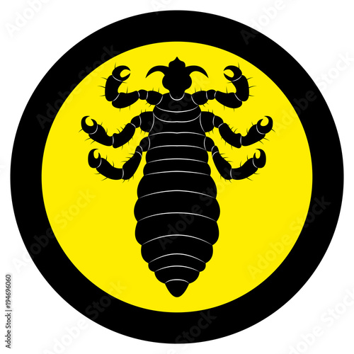 Vector image of silhouette of lice
