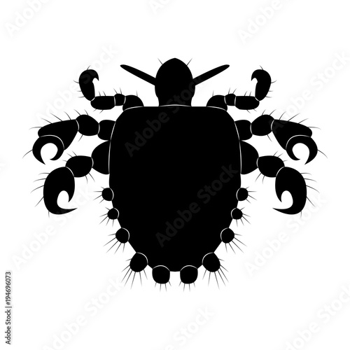 Vector image of silhouette of lice