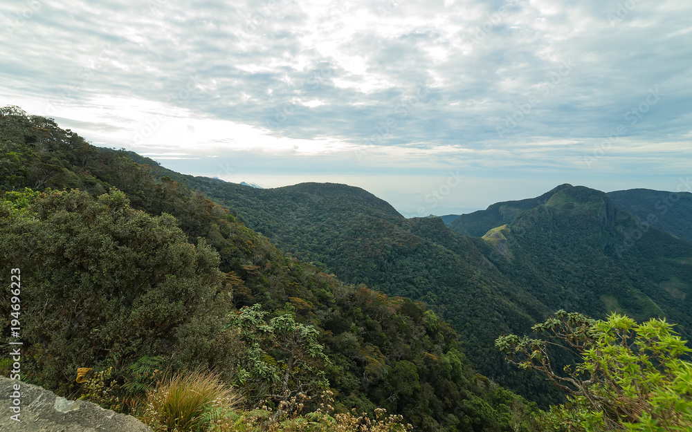 Fototapeta premium Sri Lanka – landscape cloud forest of the Horton Plains National Park, view from World's End.